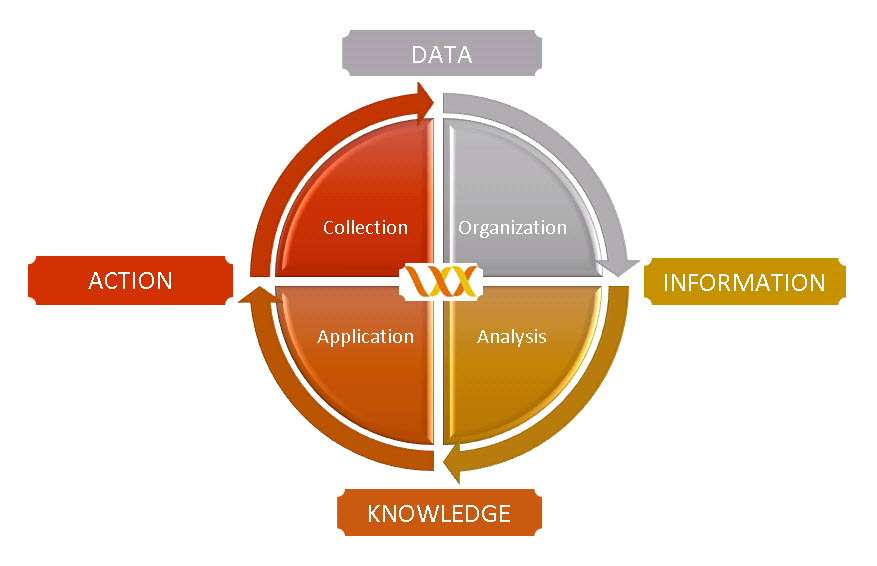 Information Wheel