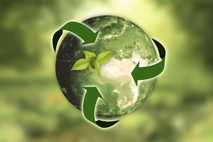 Choosing Sustainability in a Developing Nation