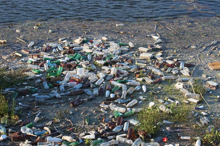 Ocean: Home for Aquatic or Plastic?