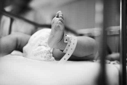 Where Are All of the Babies?