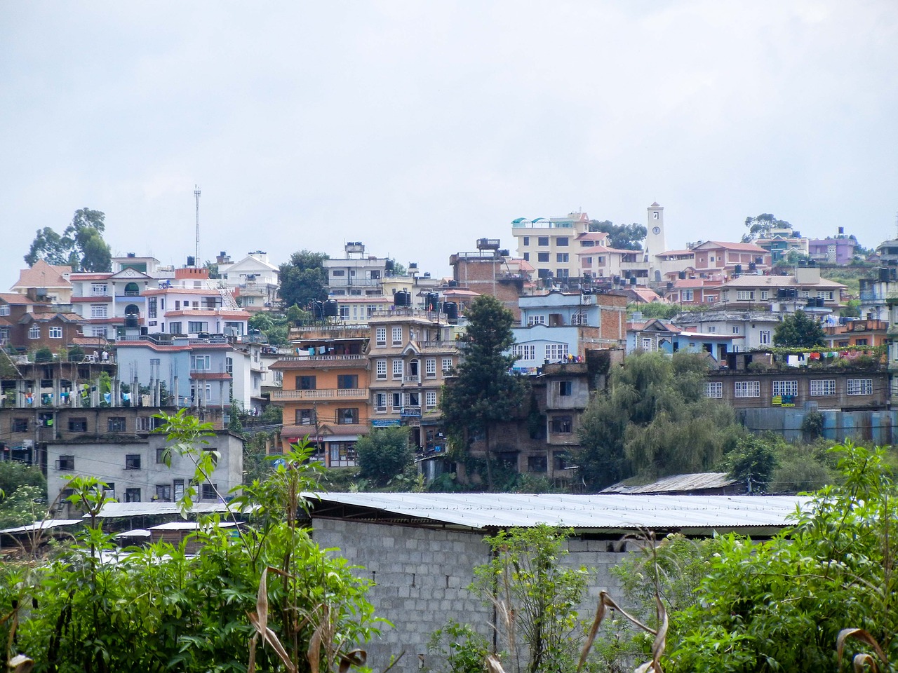 Lessons from the Other Side of the World